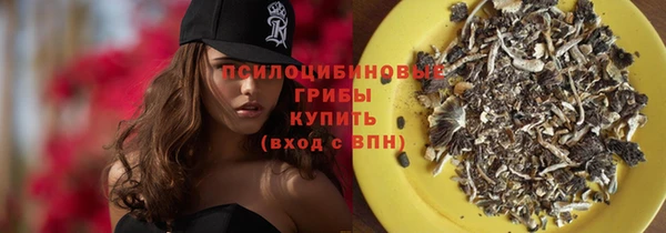 mdpv Дмитриев