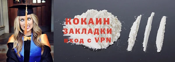 дмт Дмитровск