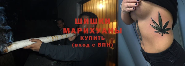 дмт Дмитровск