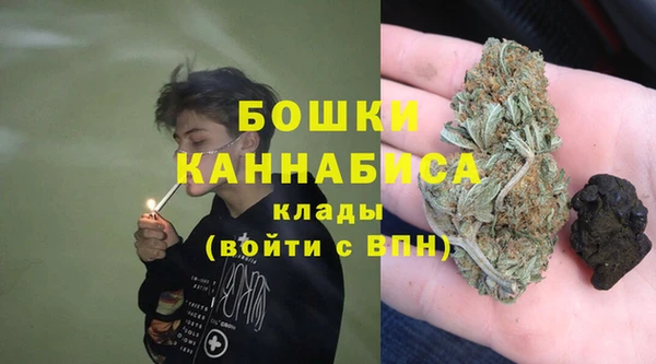 дмт Дмитровск