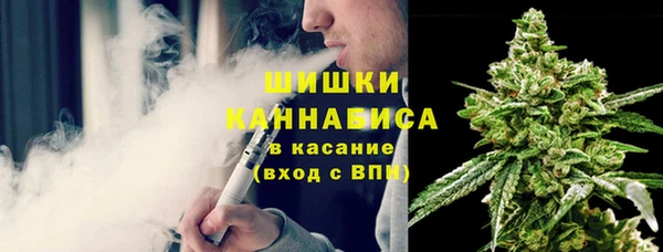 дмт Дмитровск