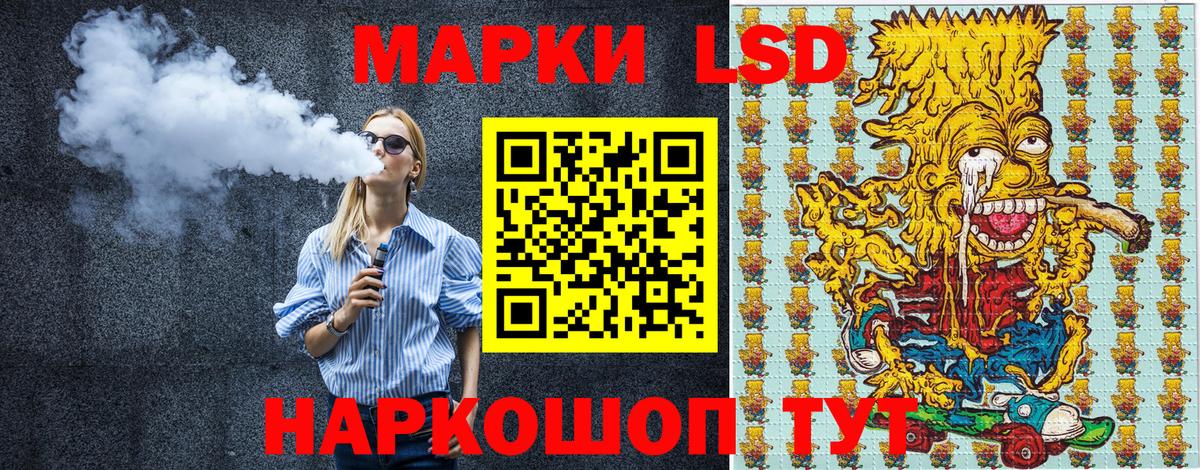 Галлюциногенные грибы Зеленогорск