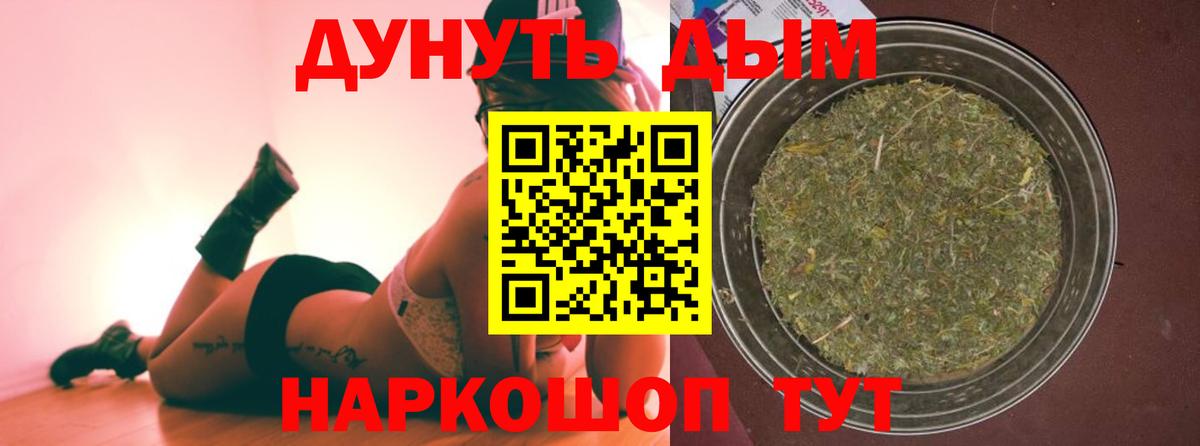 Конопля сатива Зеленогорск